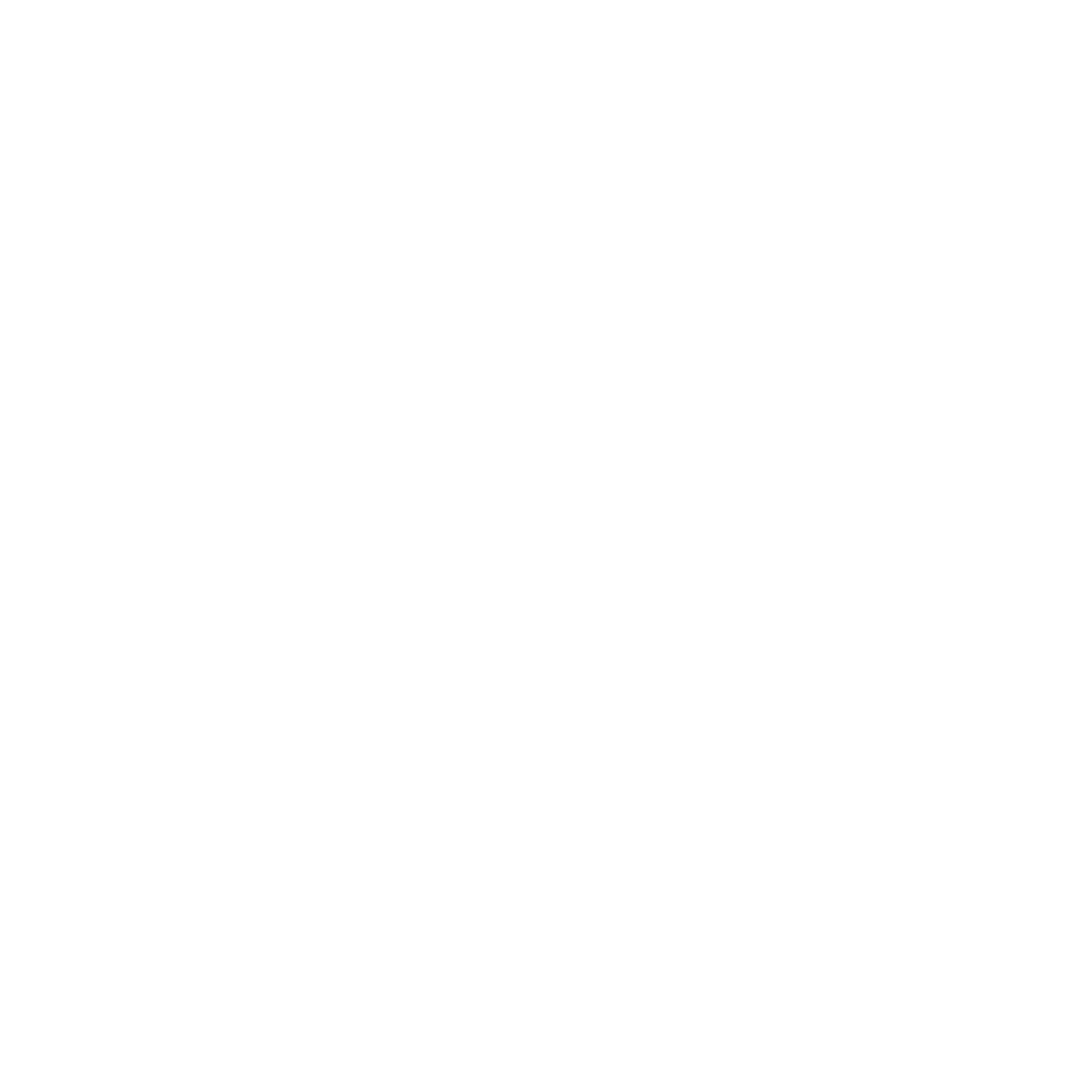 Website Translations